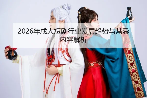 2026年成人短剧行业发展趋势与禁忌内容解析